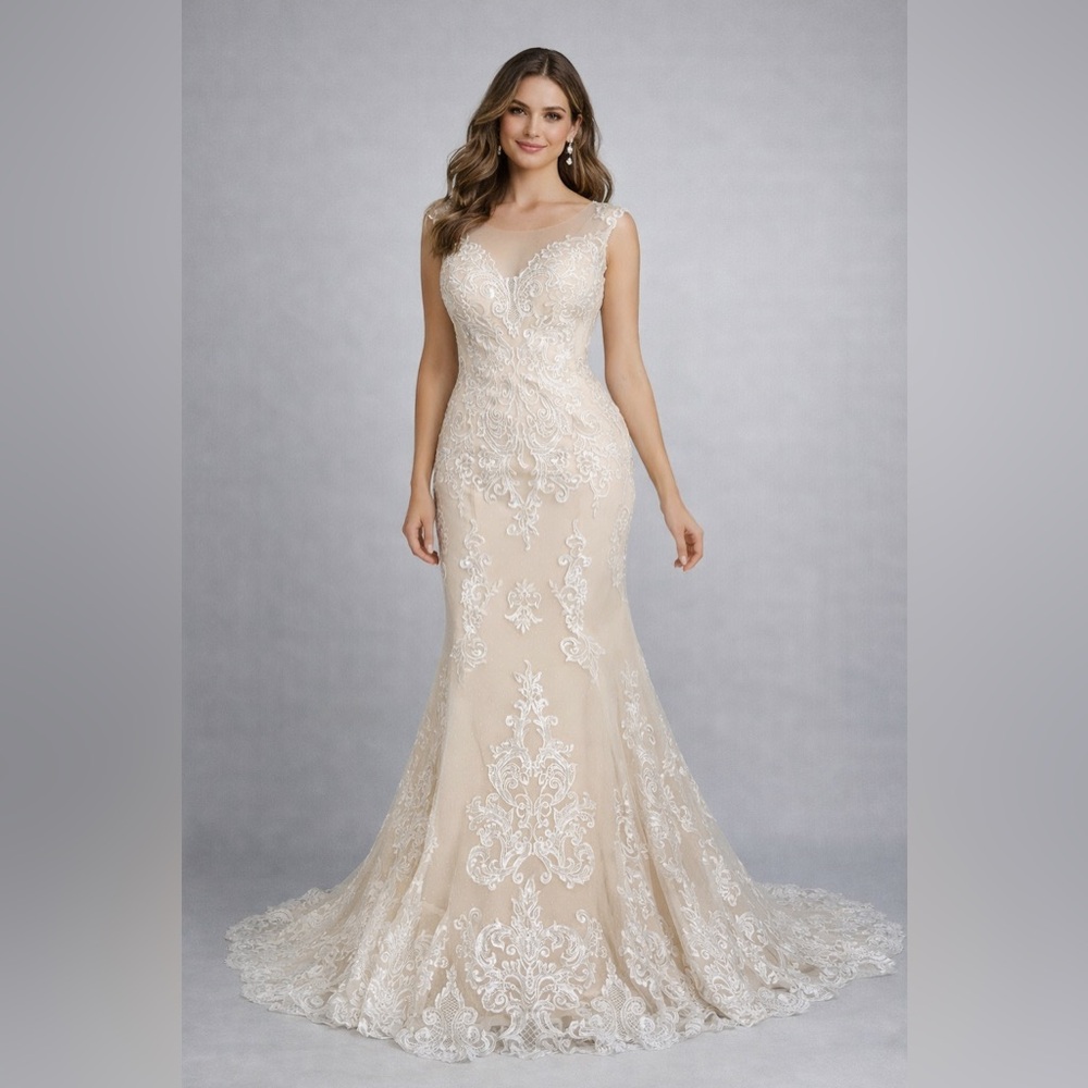 Champagne lace Wedding Gown NWT